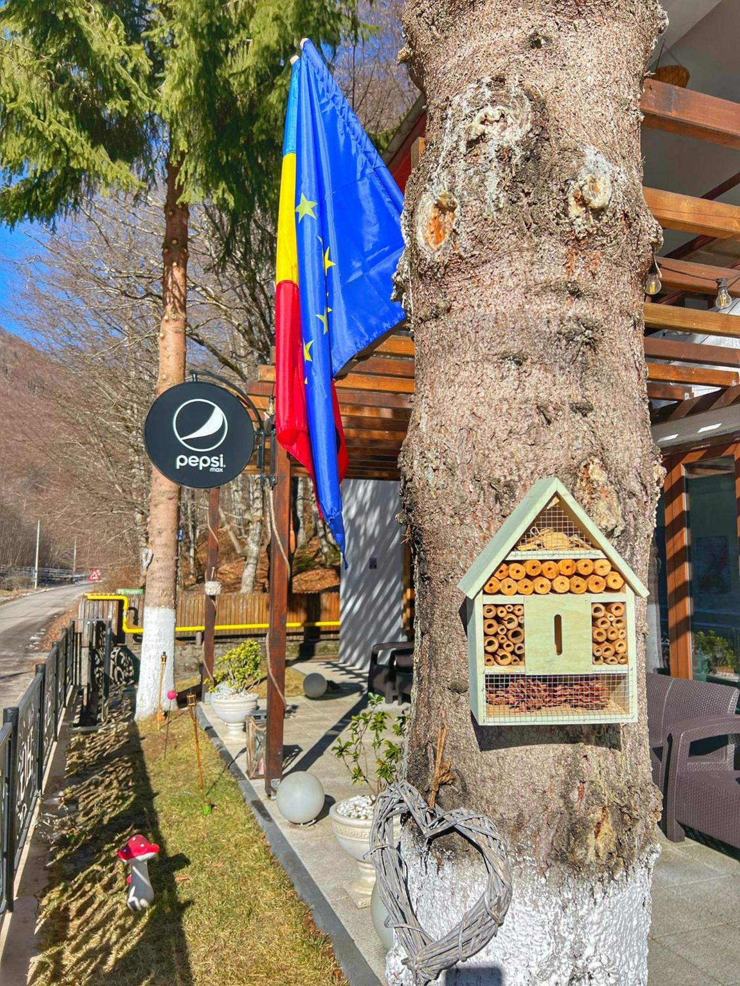 Hotel Gâlma Moroeni Buitenkant foto