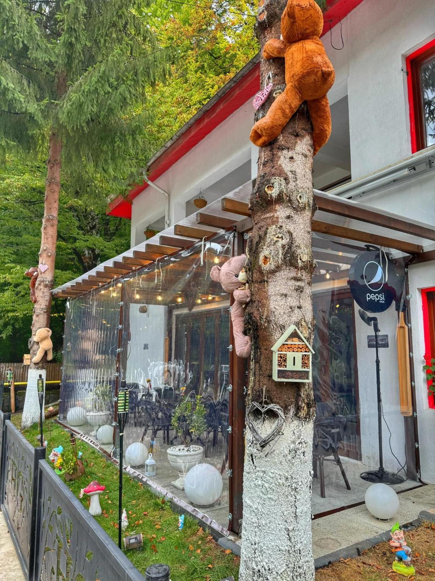 Hotel Gâlma Moroeni Buitenkant foto