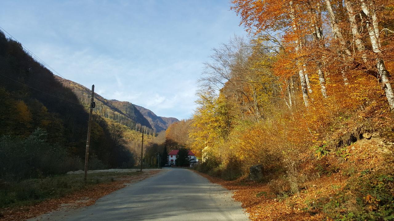 Hotel Gâlma Moroeni Buitenkant foto
